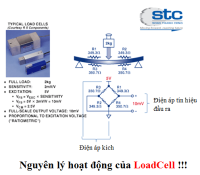 nguyen-ly-hoat-dong-cua-loadcell.png